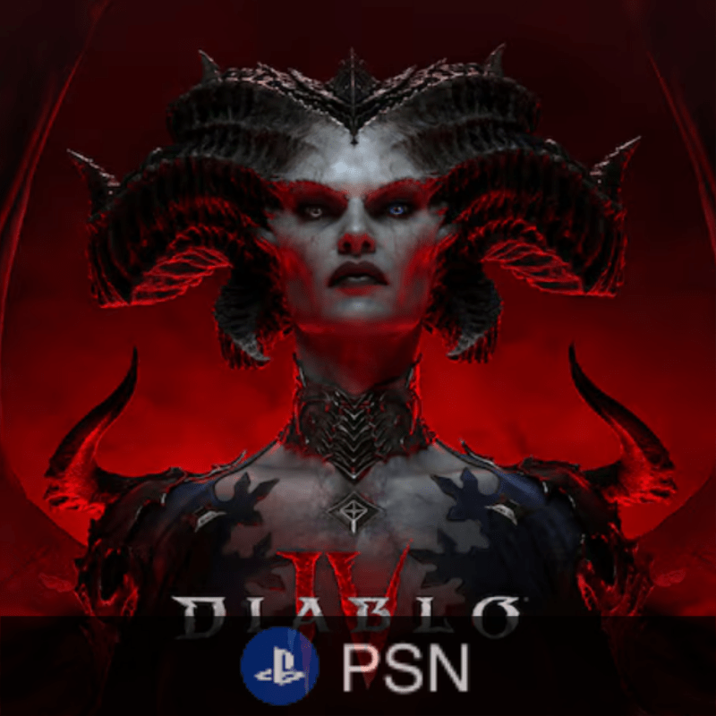 Diablo IV-PSN Card